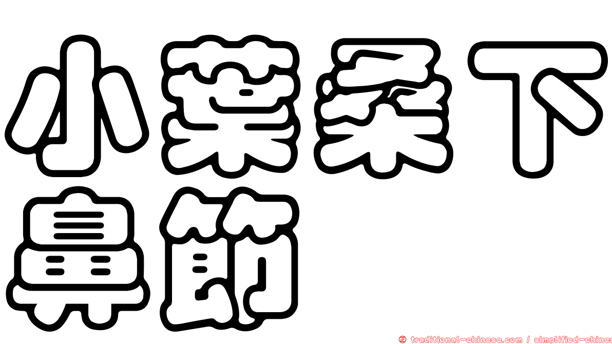 小葉桑下鼻節蜱