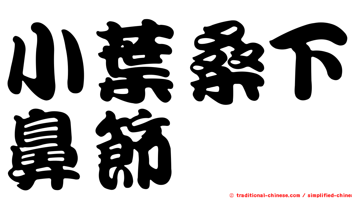 小葉桑下鼻節蜱