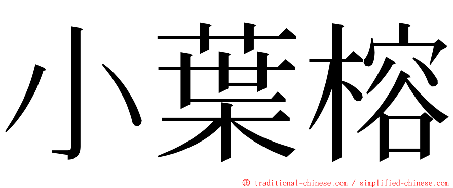 小葉榕 ming font