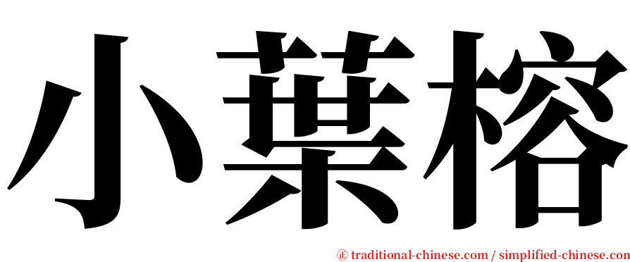 小葉榕 serif font