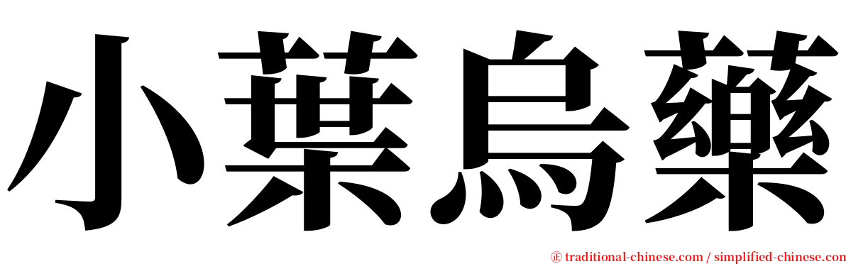 小葉烏藥 serif font