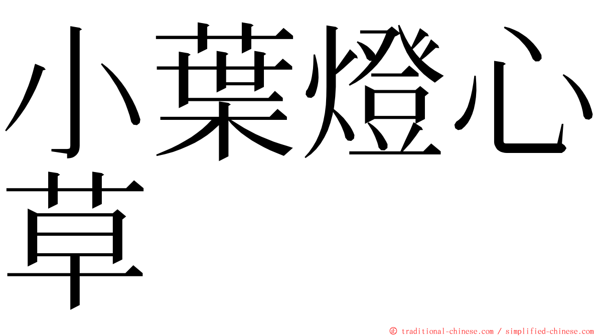 小葉燈心草 ming font