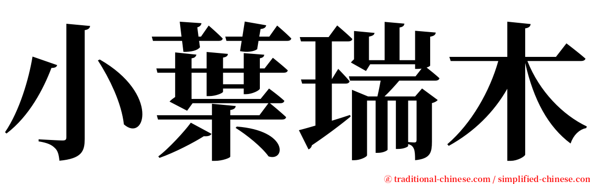 小葉瑞木 serif font