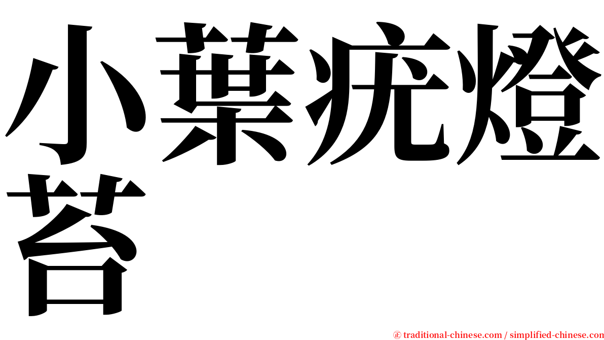 小葉疣燈苔 serif font