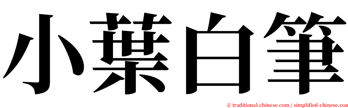 小葉白筆 serif font