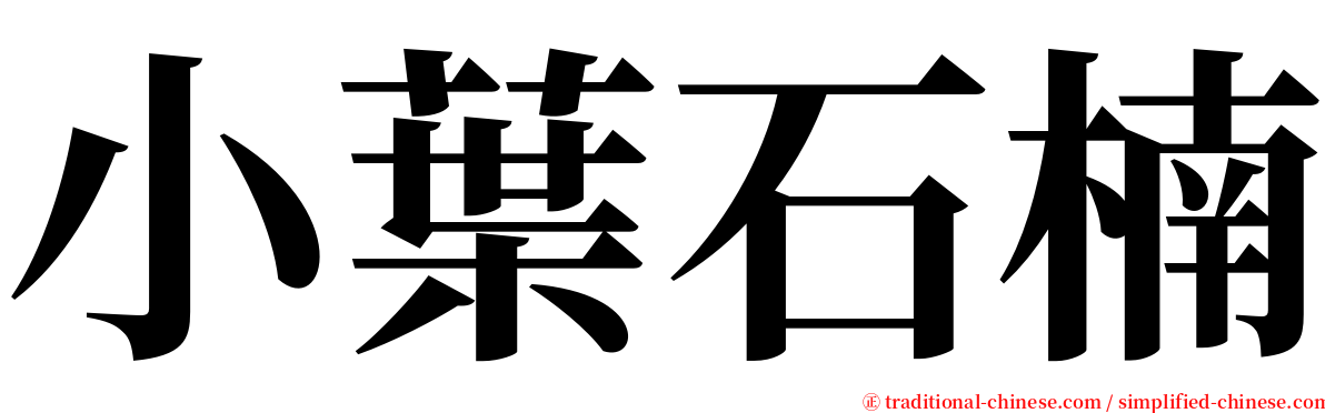 小葉石楠 serif font