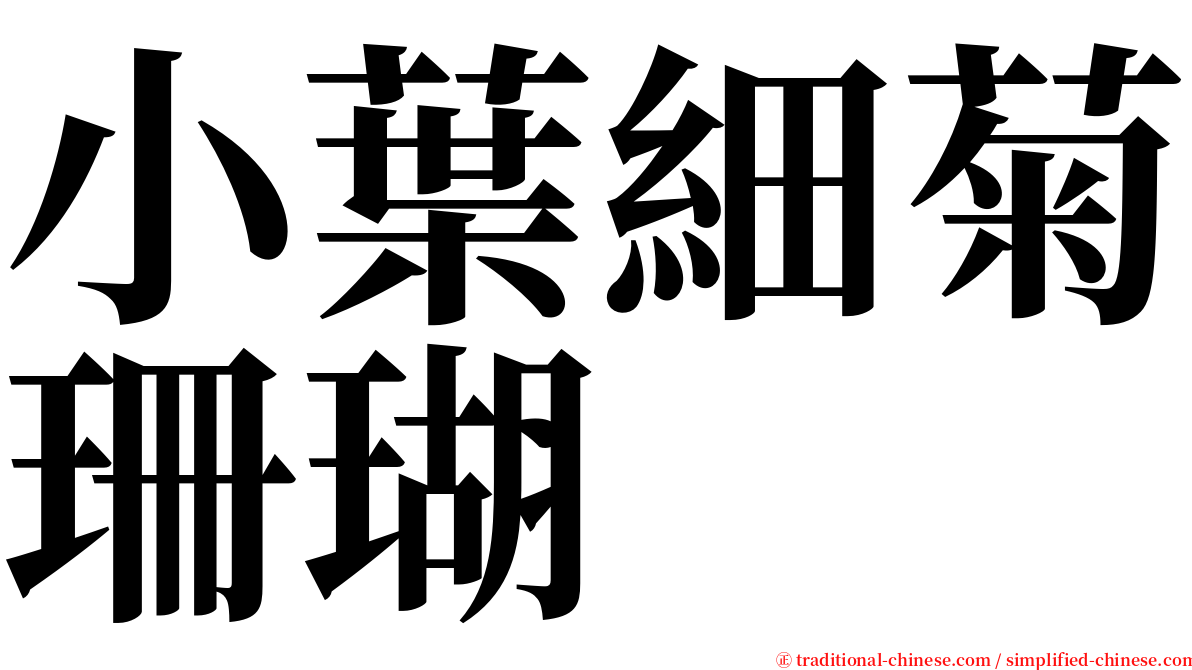 小葉細菊珊瑚 serif font