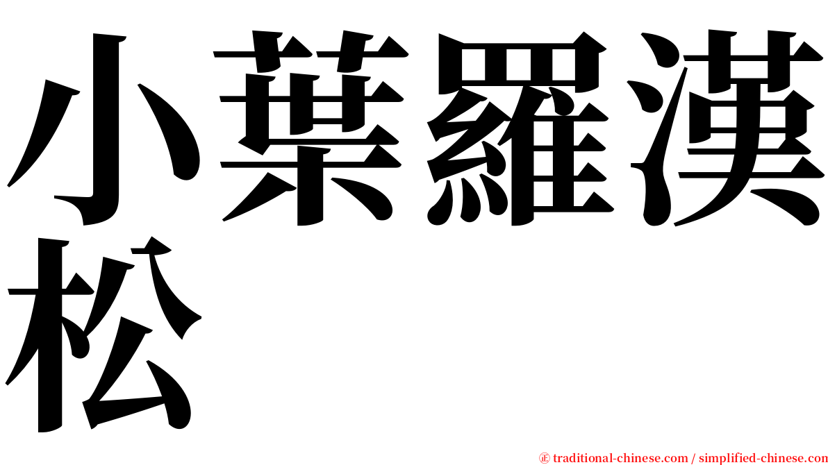 小葉羅漢松 serif font