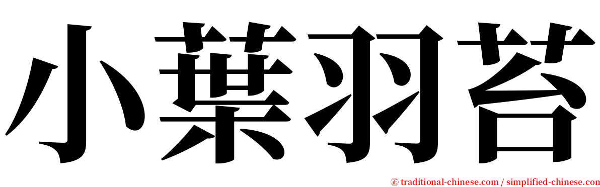 小葉羽苔 serif font