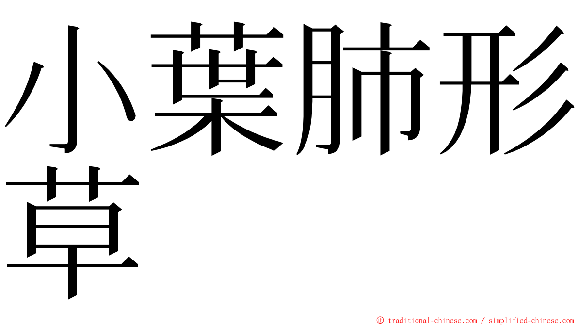 小葉肺形草 ming font