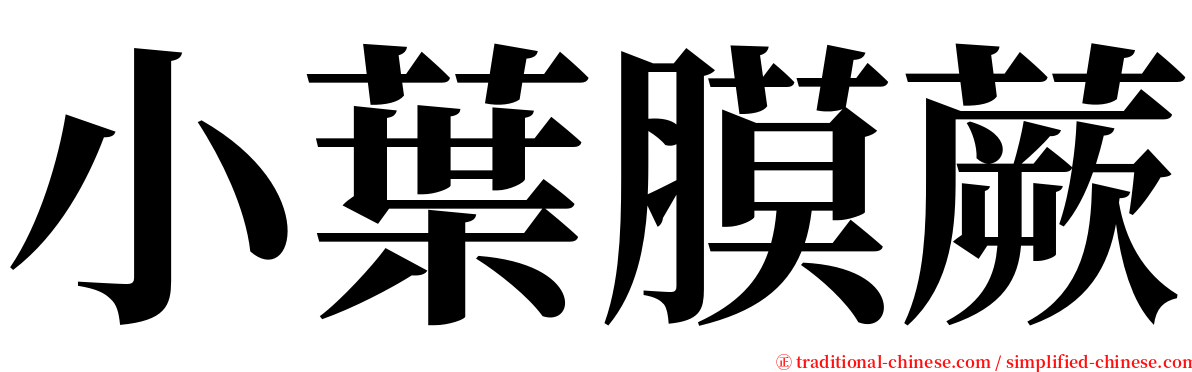 小葉膜蕨 serif font