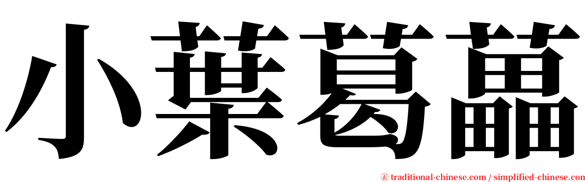 小葉葛藟 serif font