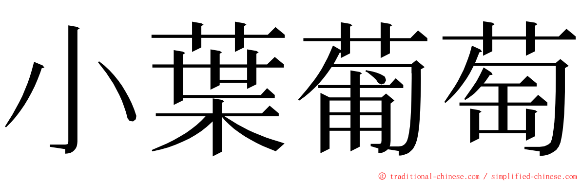 小葉葡萄 ming font