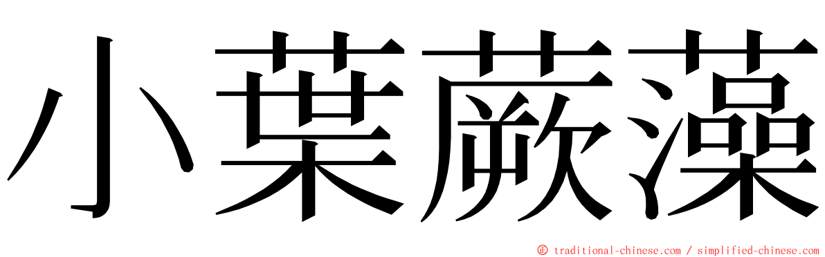 小葉蕨藻 ming font