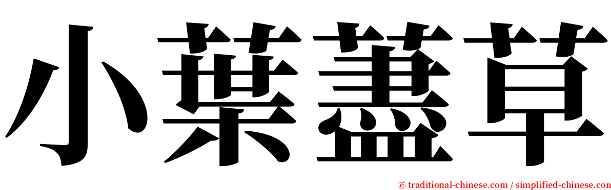 小葉藎草 serif font