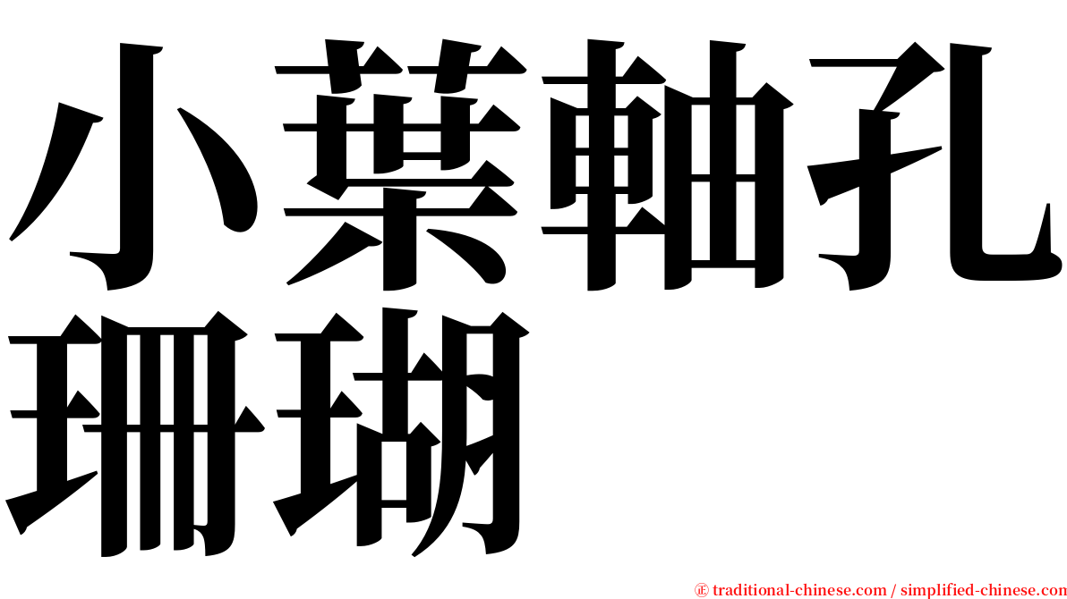 小葉軸孔珊瑚 serif font