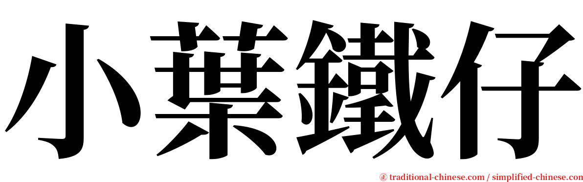 小葉鐵仔 serif font