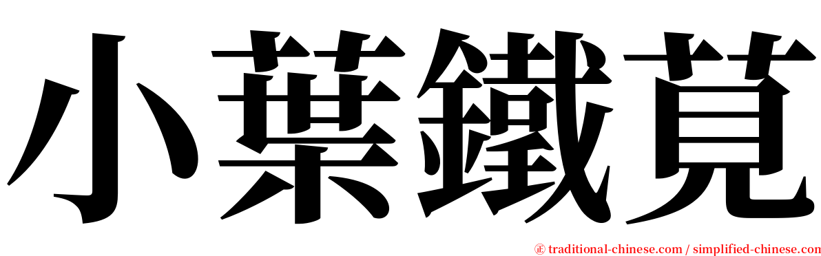 小葉鐵莧 serif font