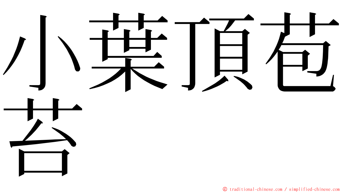 小葉頂苞苔 ming font