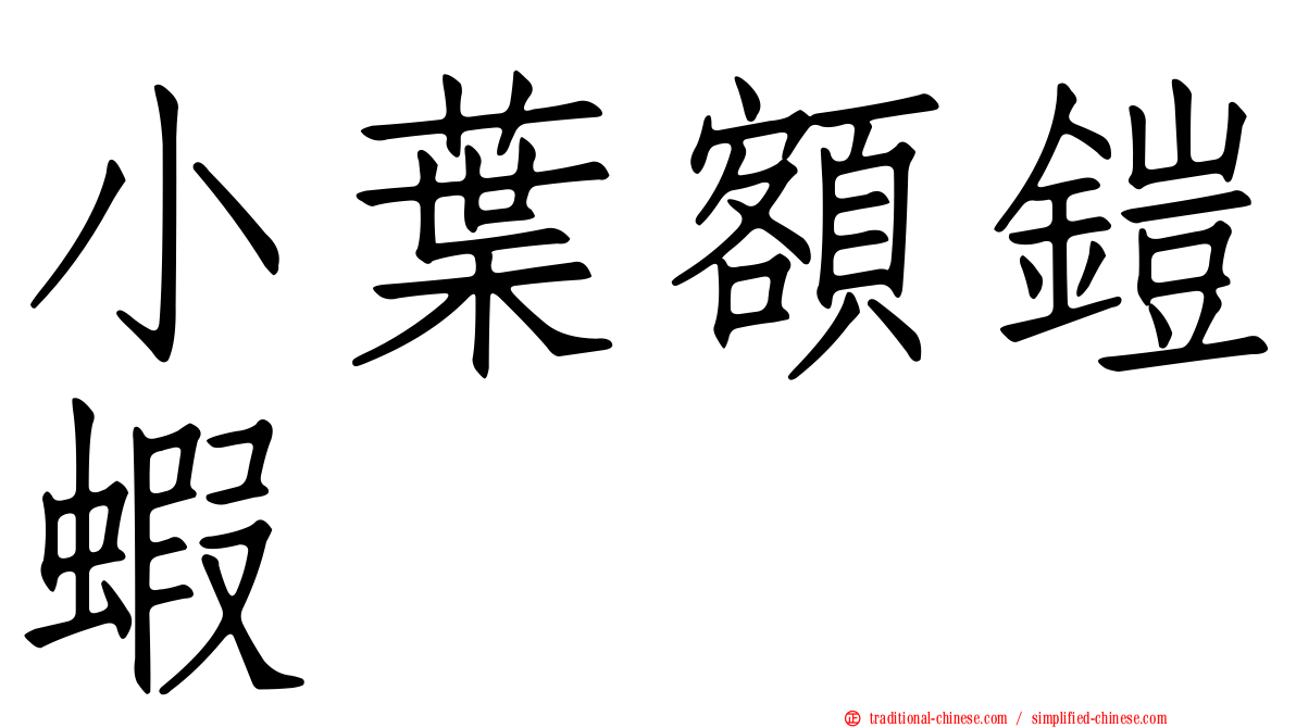 小葉額鎧蝦