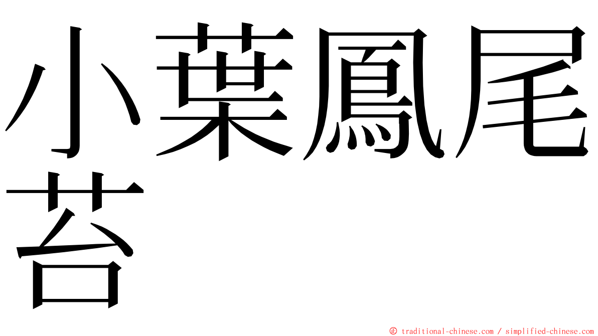 小葉鳳尾苔 ming font