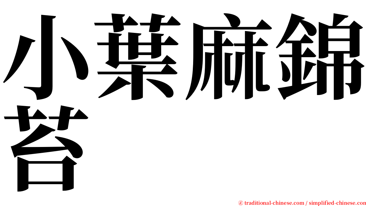 小葉麻錦苔 serif font