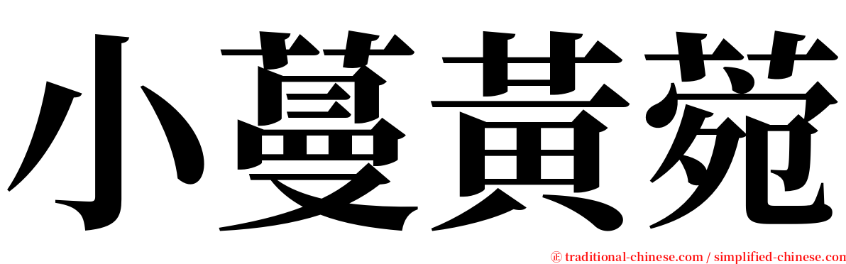 小蔓黃菀 serif font