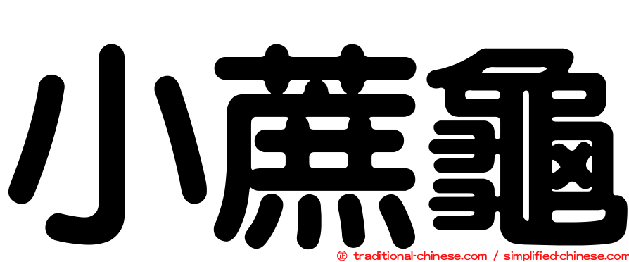 小蔗龜
