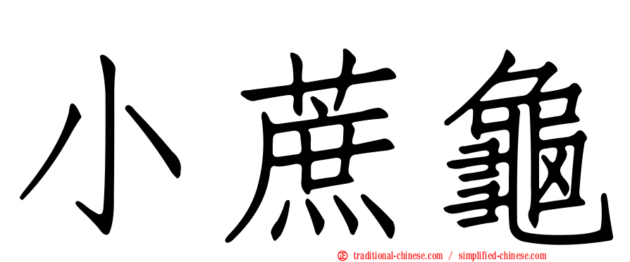 小蔗龜