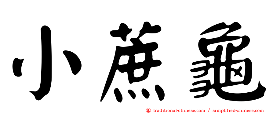 小蔗龜