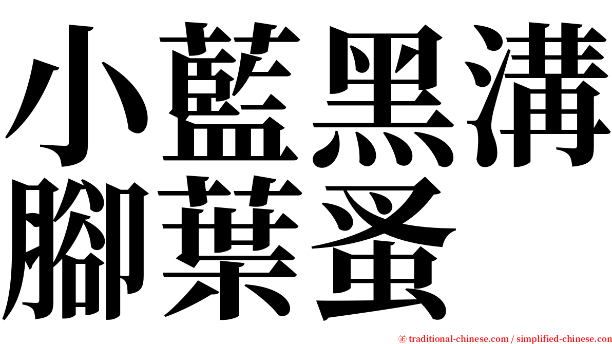 小藍黑溝腳葉蚤 serif font