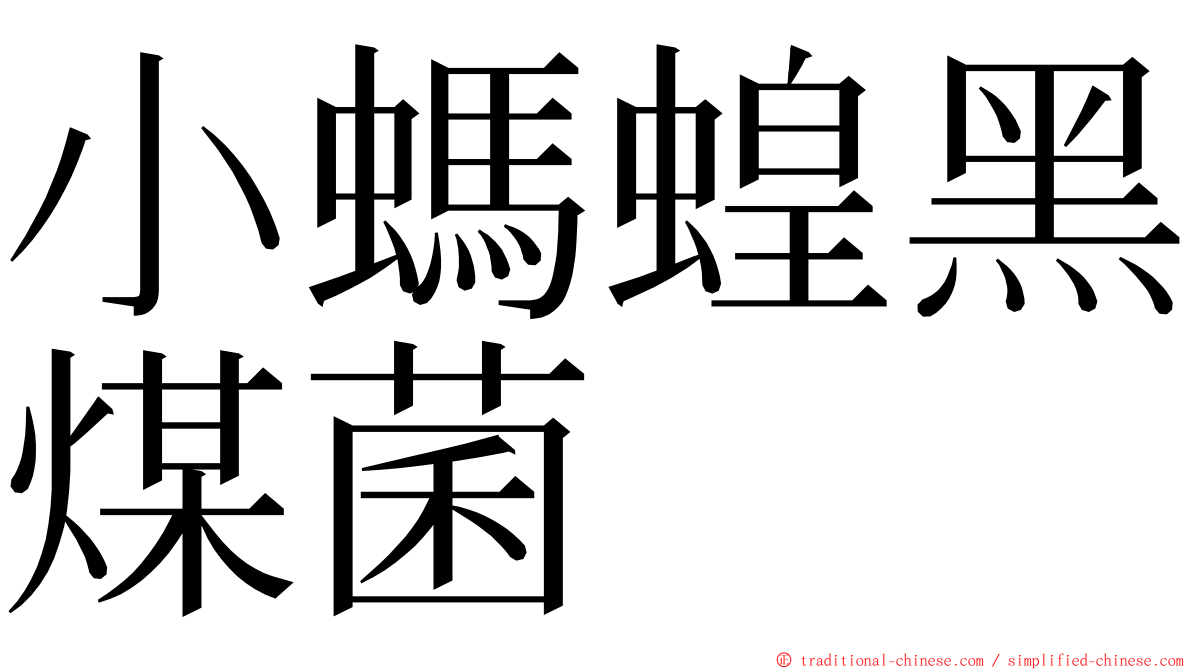 小螞蝗黑煤菌 ming font