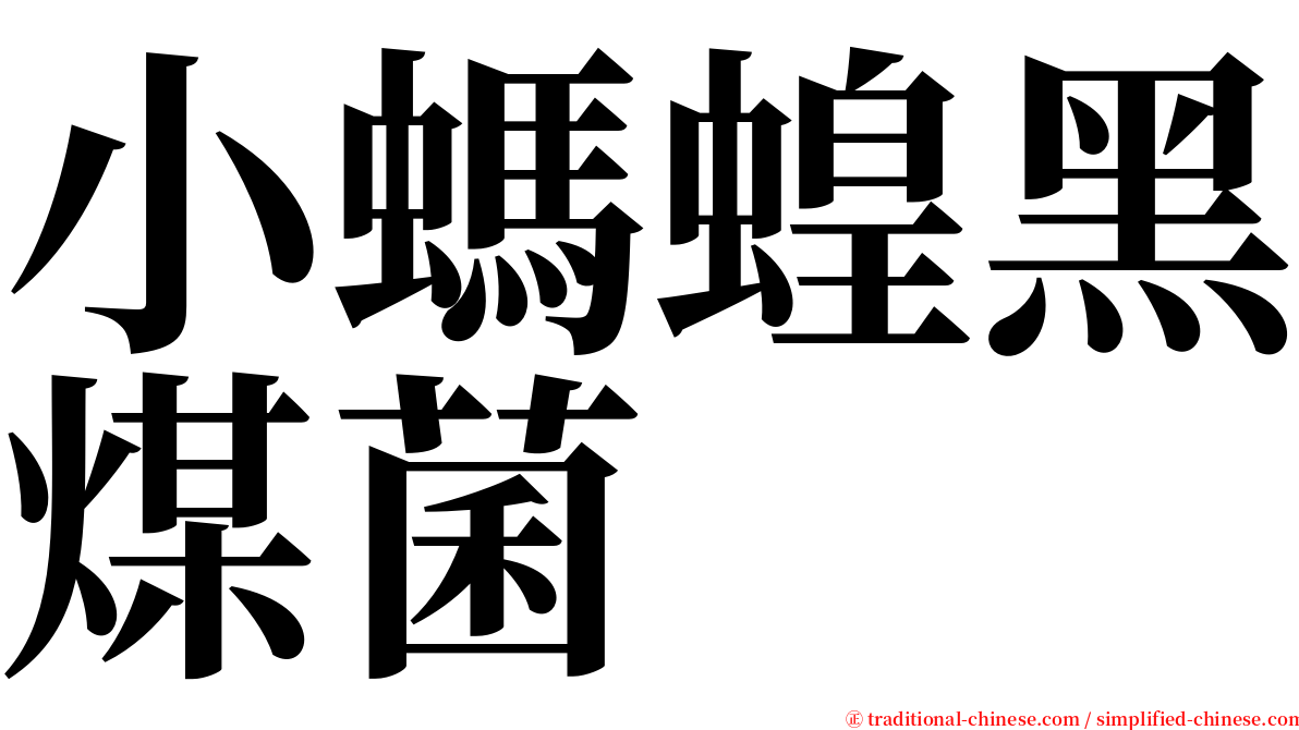 小螞蝗黑煤菌 serif font