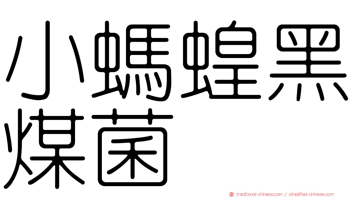 小螞蝗黑煤菌