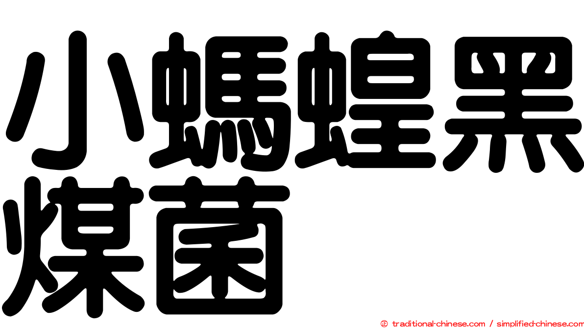 小螞蝗黑煤菌