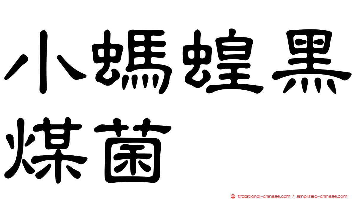 小螞蝗黑煤菌