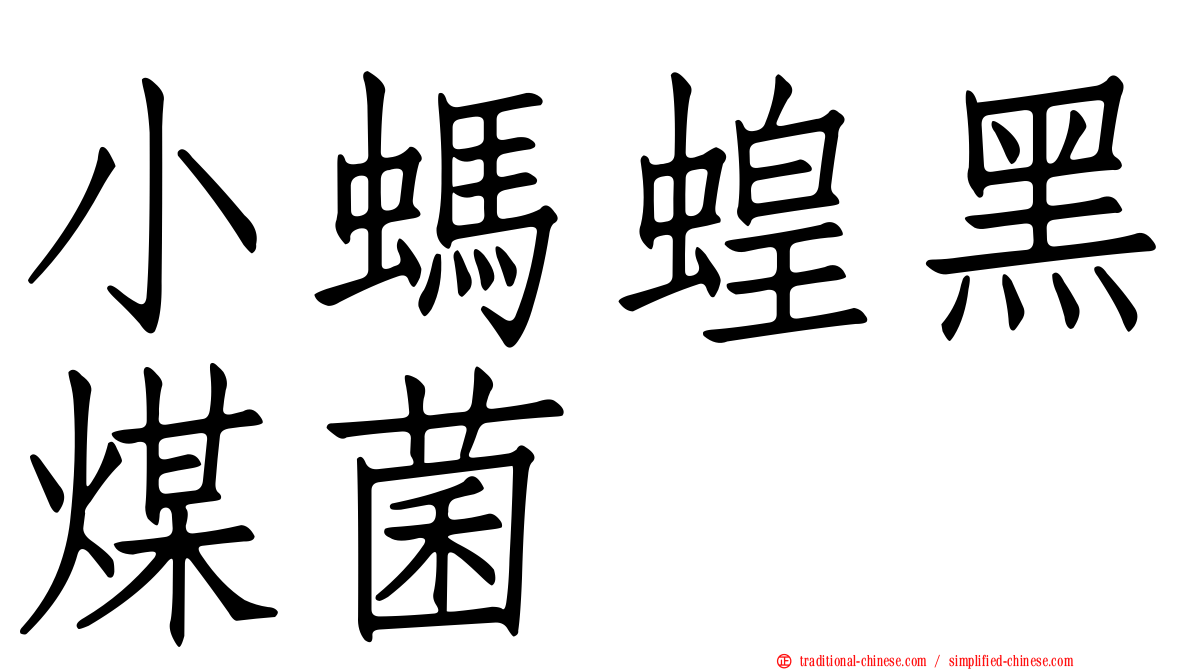 小螞蝗黑煤菌