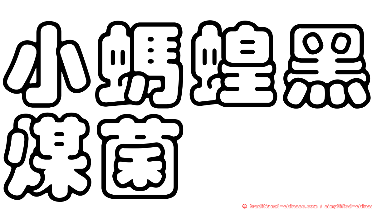 小螞蝗黑煤菌