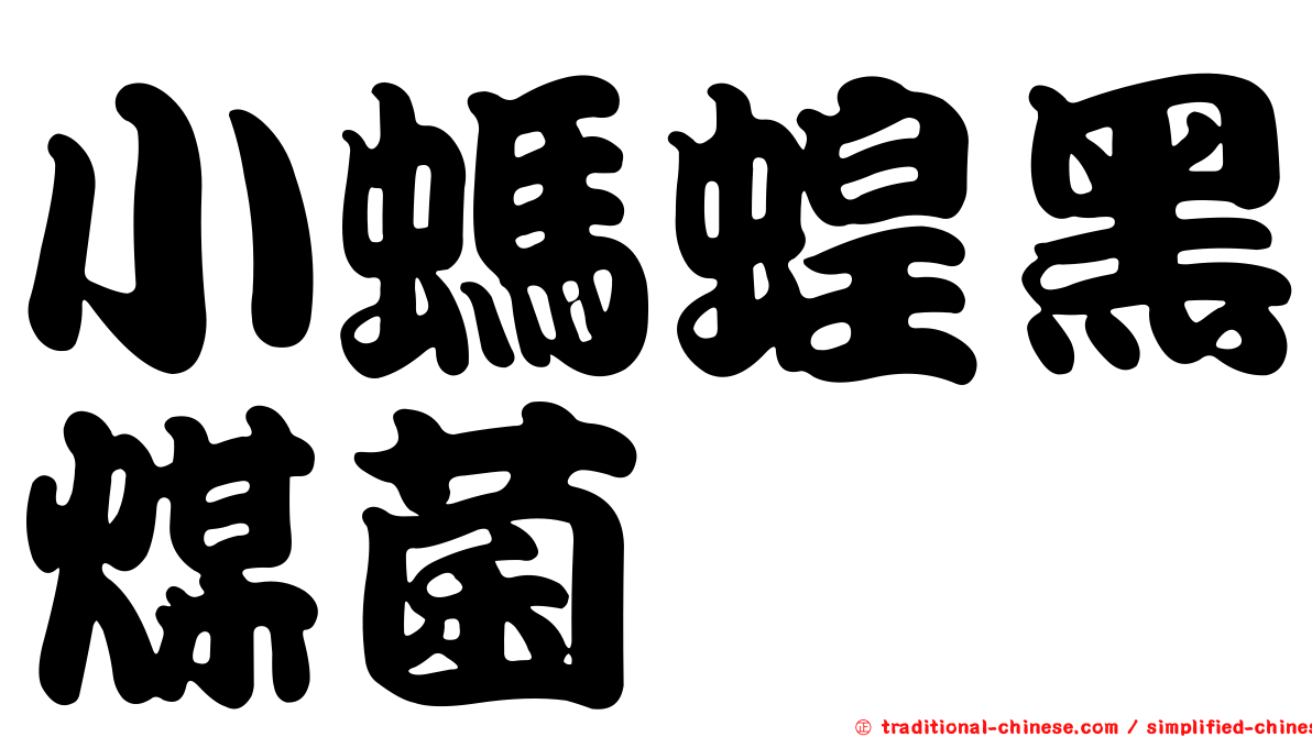 小螞蝗黑煤菌