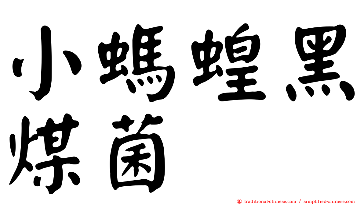 小螞蝗黑煤菌