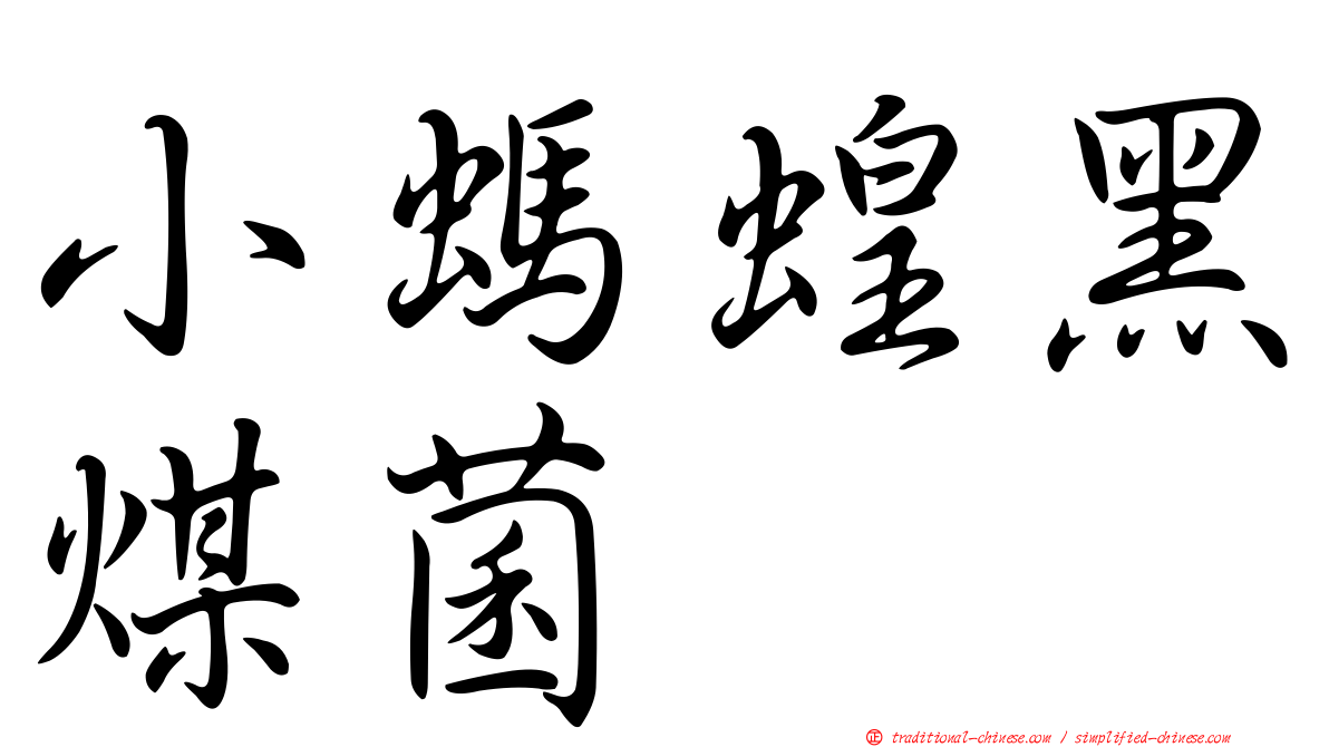 小螞蝗黑煤菌