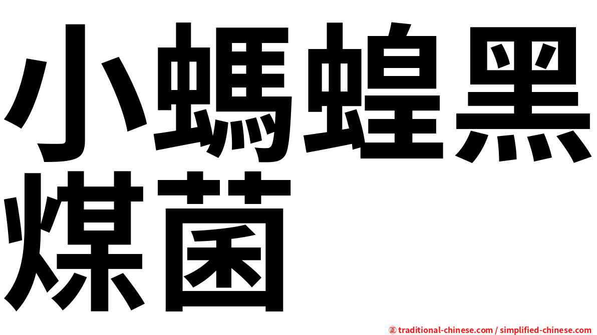 小螞蝗黑煤菌