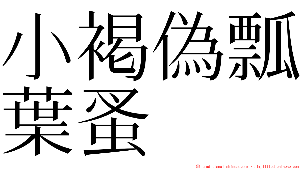 小褐偽瓢葉蚤 ming font