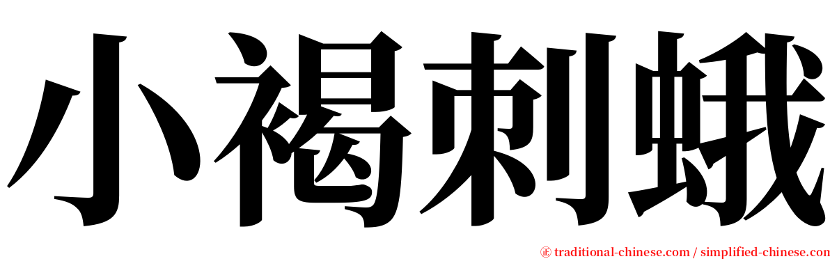 小褐刺蛾 serif font