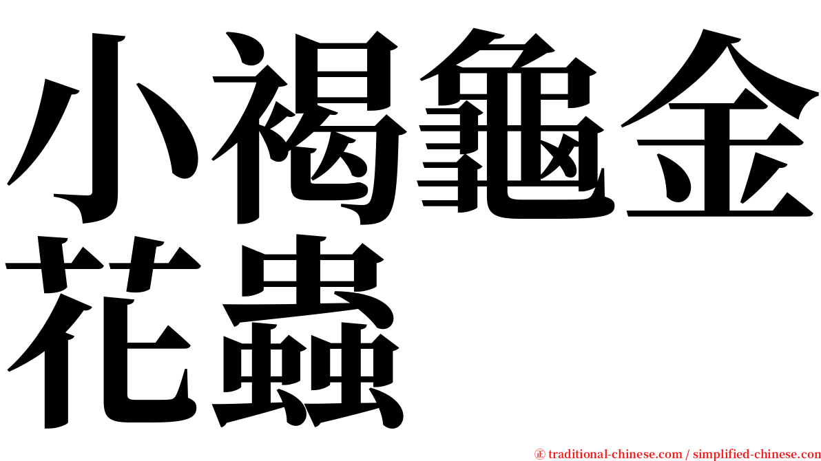 小褐龜金花蟲 serif font