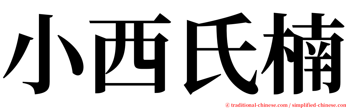 小西氏楠 serif font