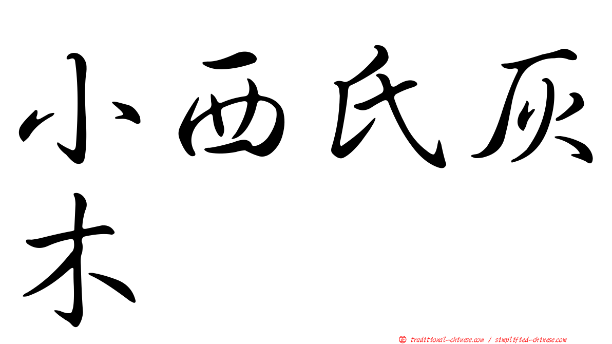 小西氏灰木