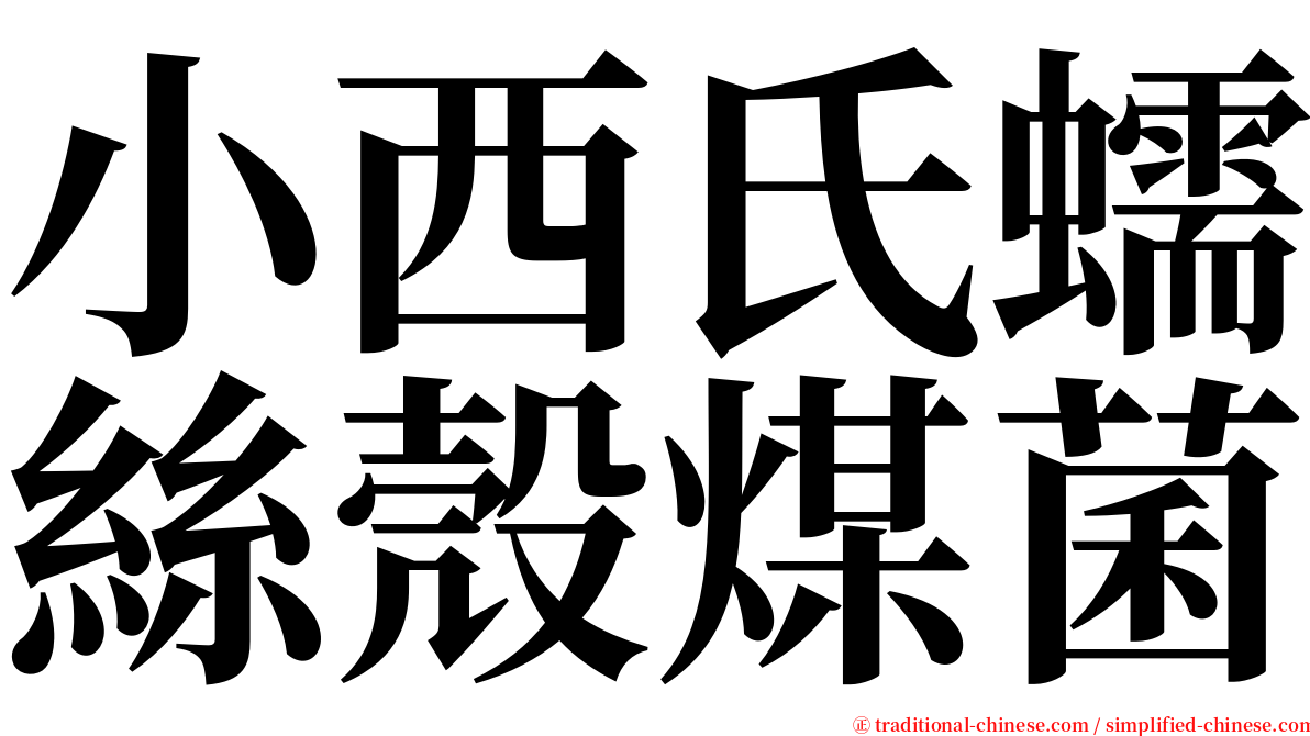 小西氏蠕絲殼煤菌 serif font