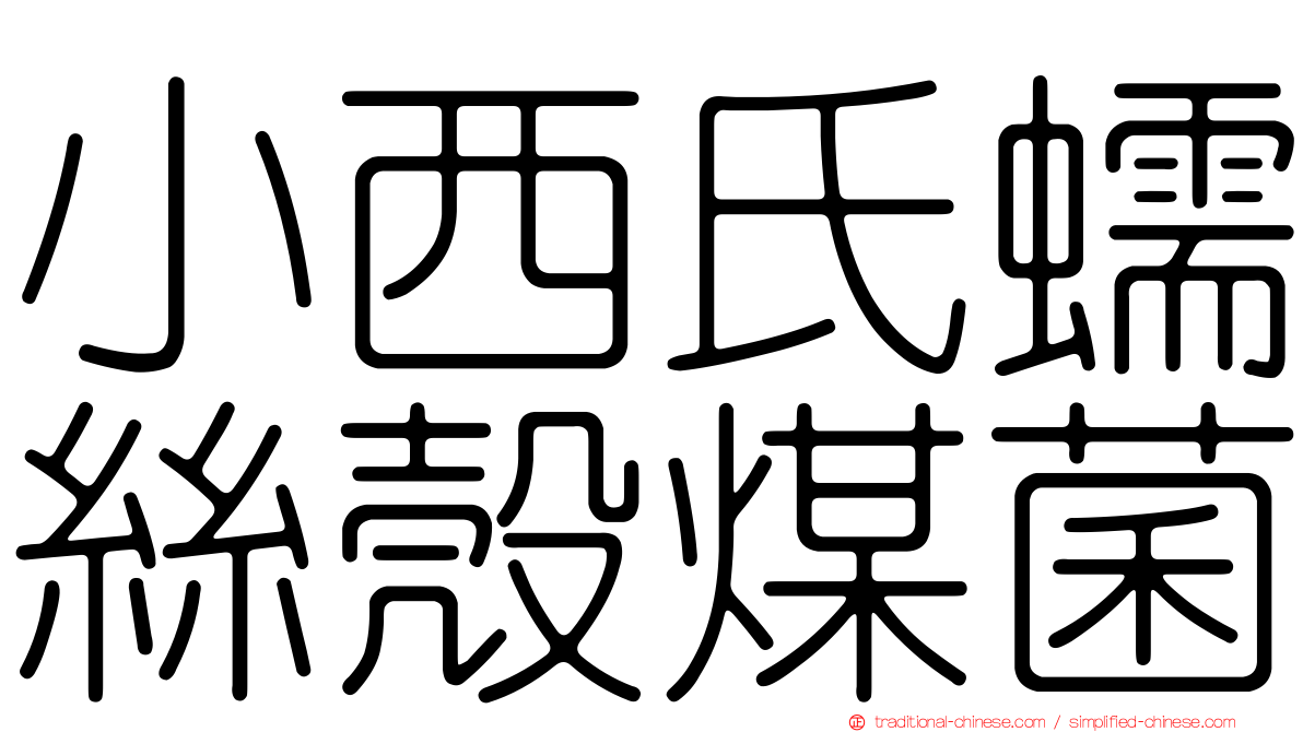 小西氏蠕絲殼煤菌