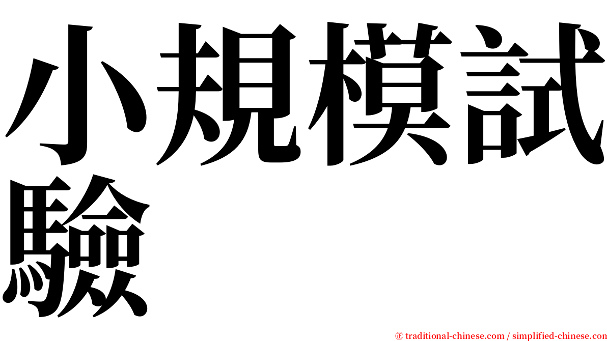 小規模試驗 serif font